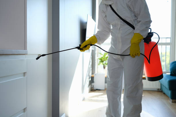 Best Localized Mold Remediation (e.g., coastal areas, humid climates) in Henderson, KY
